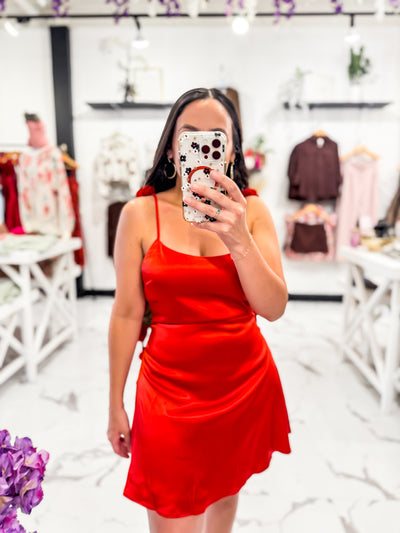 Worth A Million Mini Dress (Red)