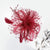 Paddock Suite Fascinator (Burgundy)