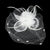 All Bets Fascinator (White)