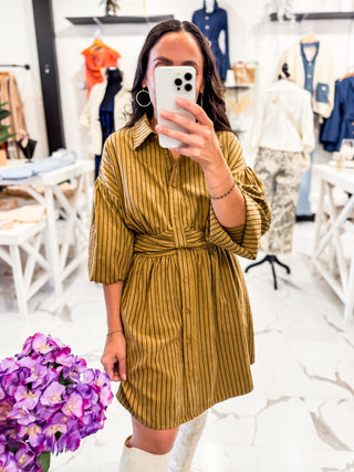 Faux Suede Stripe Bronze Shirt Dress