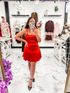 Worth A Million Mini Dress (Red)