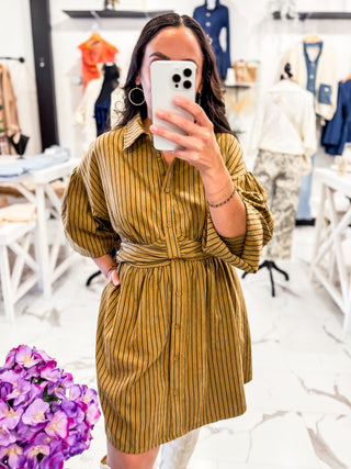 Queue Me In Striped Mini Dress Brown Striped